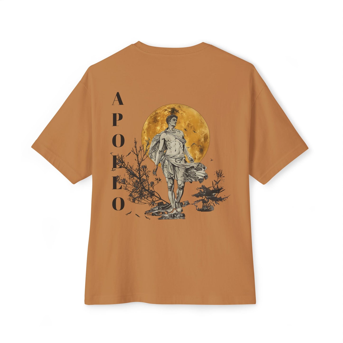 Apollo Oversized Tee